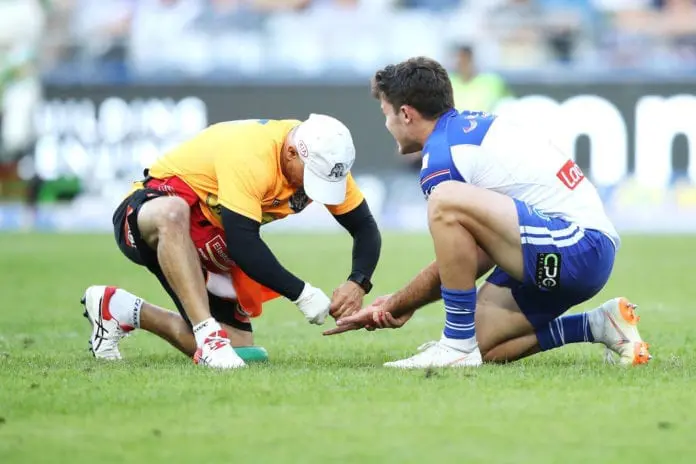 Dogs suffer another injury blow