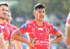 Dolphins setting sights on Dragons playmaker