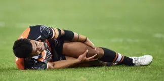 Surgery to scupper Tiger cub's swift return