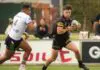 North Sydney to Perth: Experienced duo re-sign, one gains NRL opportunity 53424018978_e23f7dd1fc_k