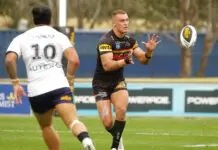 Panthers forward handed lifeline from rival NRL team 53424181139_0451d47adb_k
