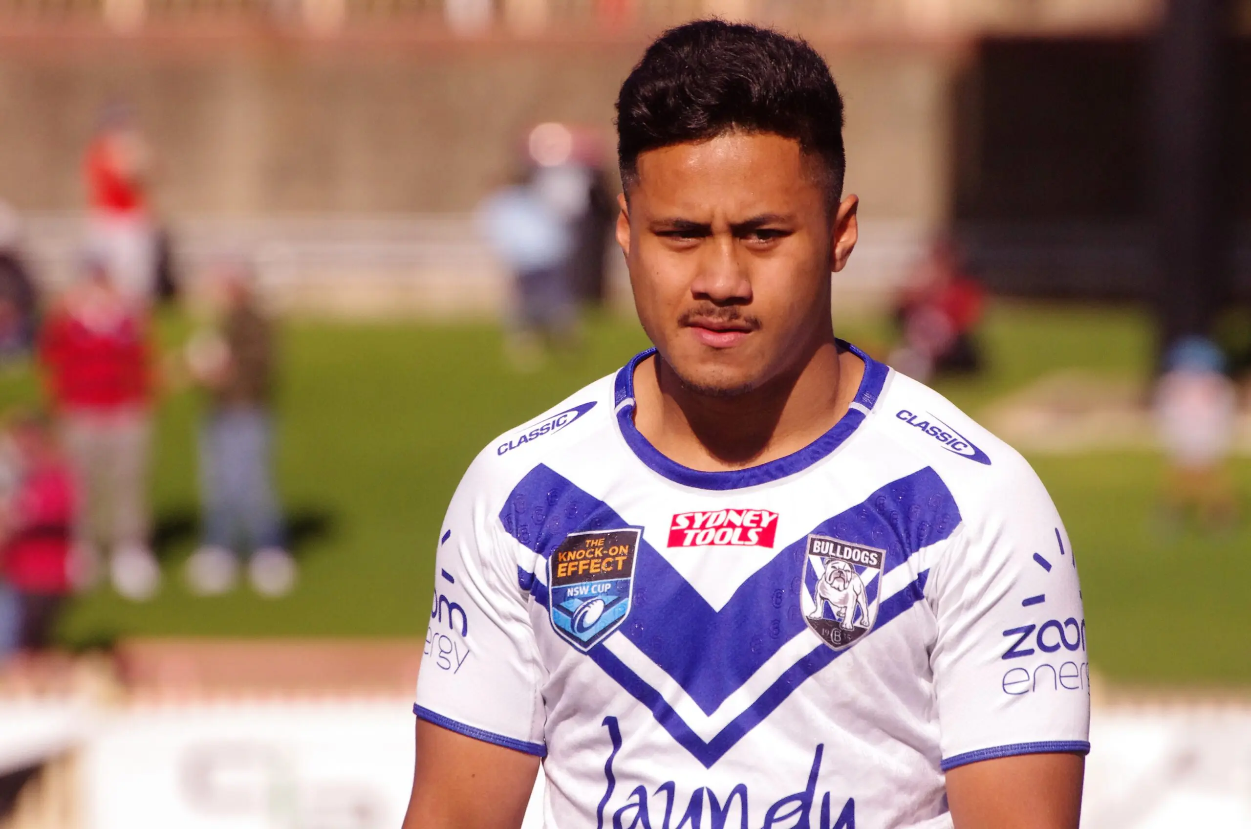 53411725713_1ae40e98ba_o