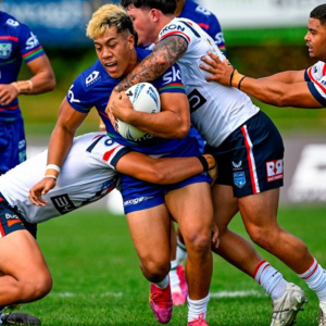 New Zealand Warriors