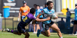 Young Sharks in 19’s Origin squads