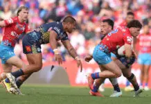 NRL Rd 24 – Knights v Titans