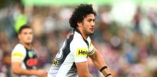 Dogs confirm Harawira-Naera signing