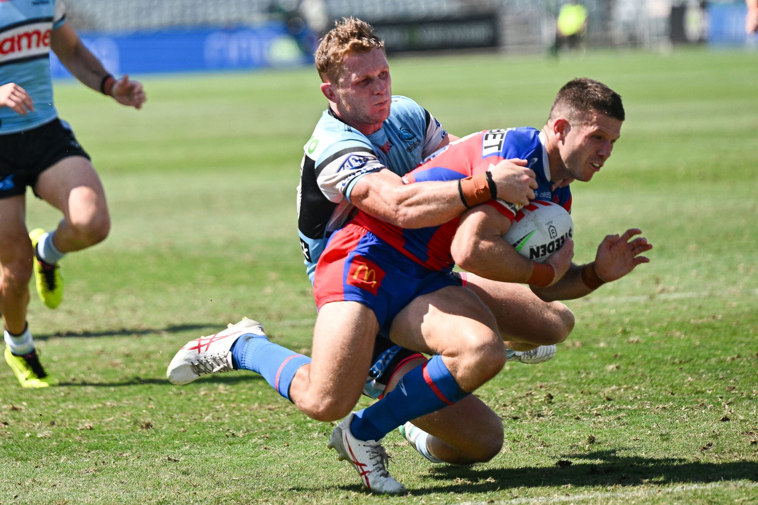 Johns perplexed by Knights halves combinations NRL News Zero Tackle