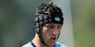 NRL Pre-Season Challenge Rd 1 - Knights v Sharks