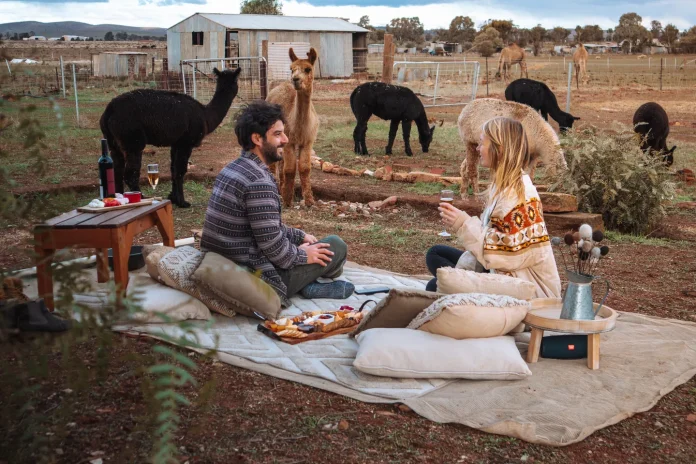 Off-field hijinks: Five deals to make the off-season fly by